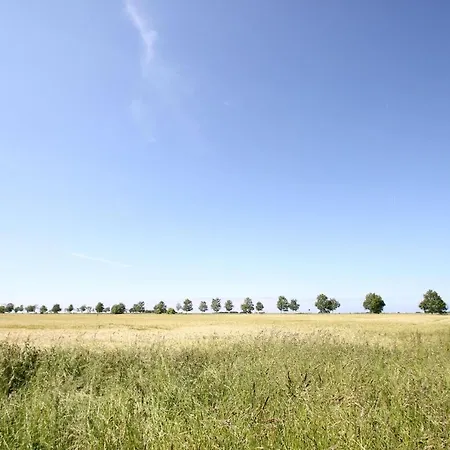 Prázdninový dům Frigga Haus - Terrasse, Garten, Meerblick Wiek auf Rügen